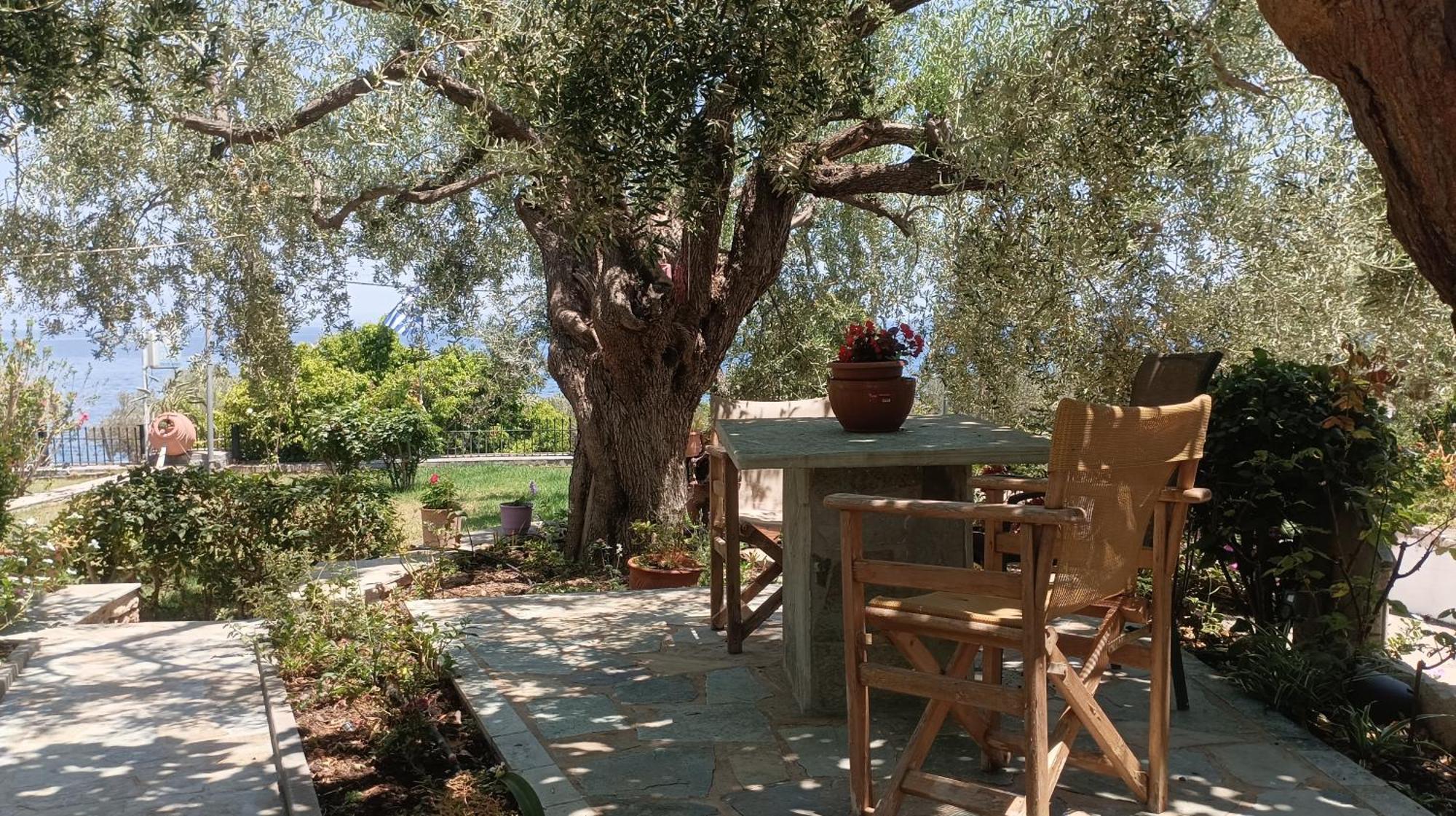 Studios Zaritsi Tirós المظهر الخارجي الصورة