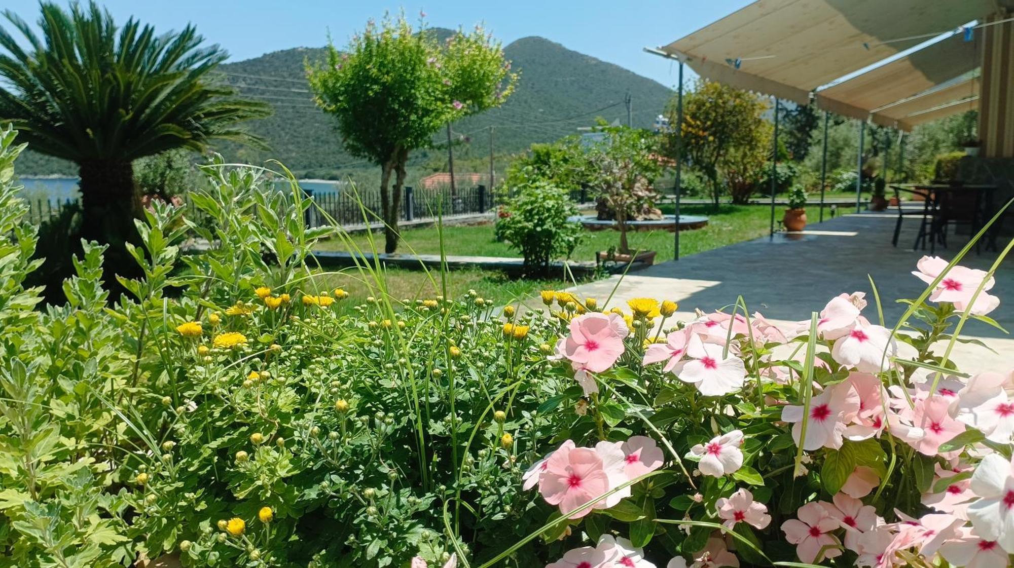 Studios Zaritsi Tirós المظهر الخارجي الصورة